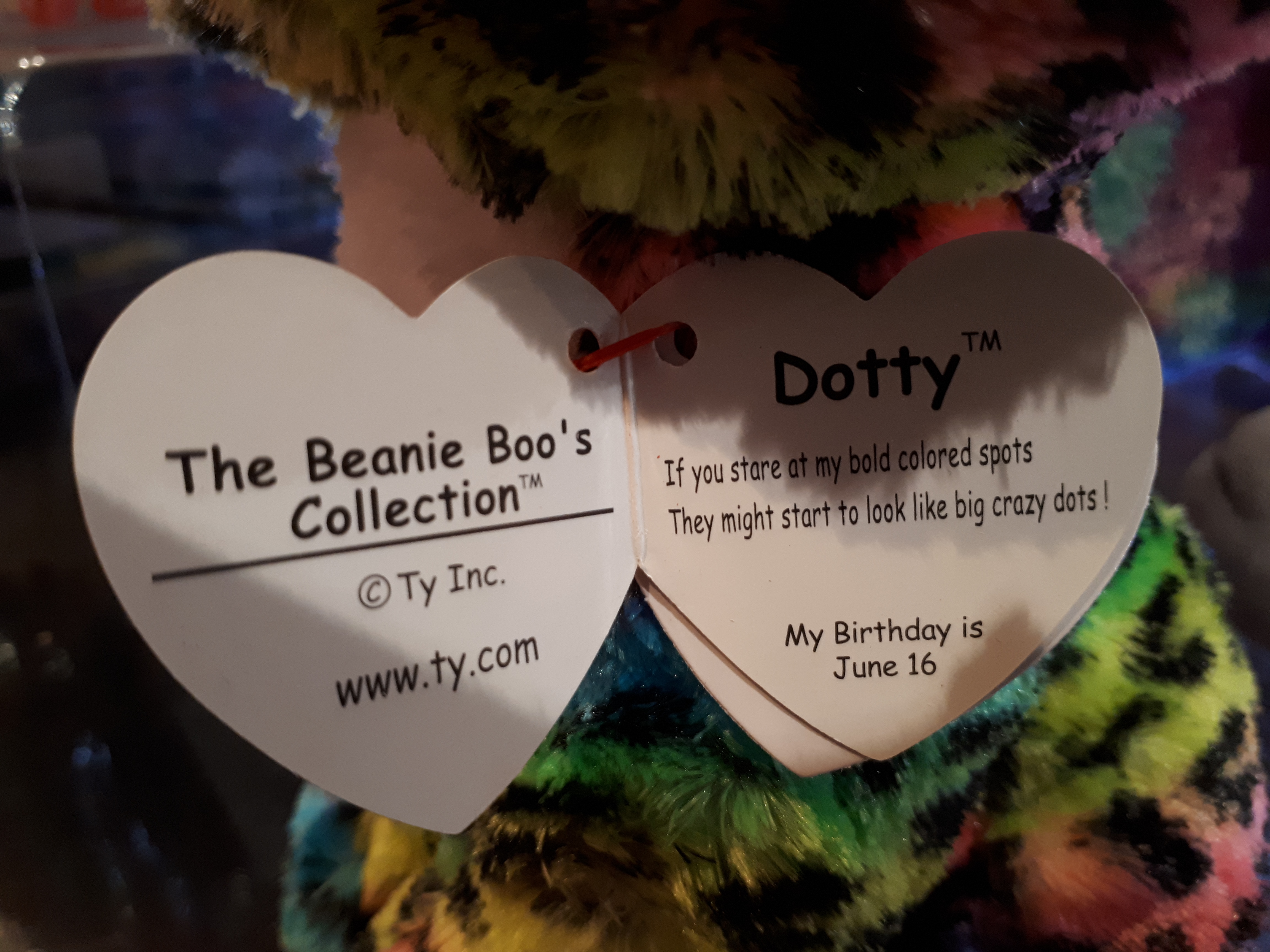 dotty beanie boo birthday