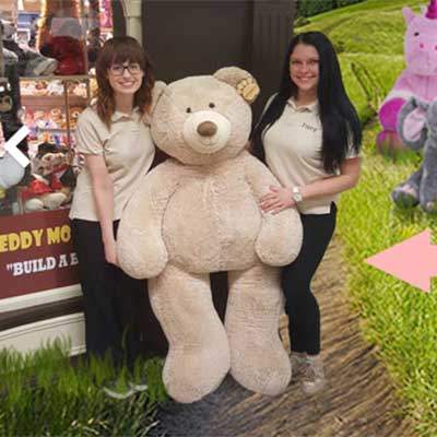 The Biggest Teddy Bear in Galway, Come Take Selfies with him at Teddy and Co