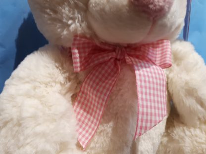 Buddyz Collection Small Pink Teddy - Image 6