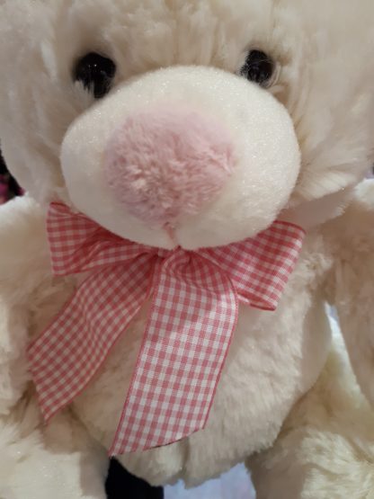 Buddyz Collection Small Pink Teddy - Image 5