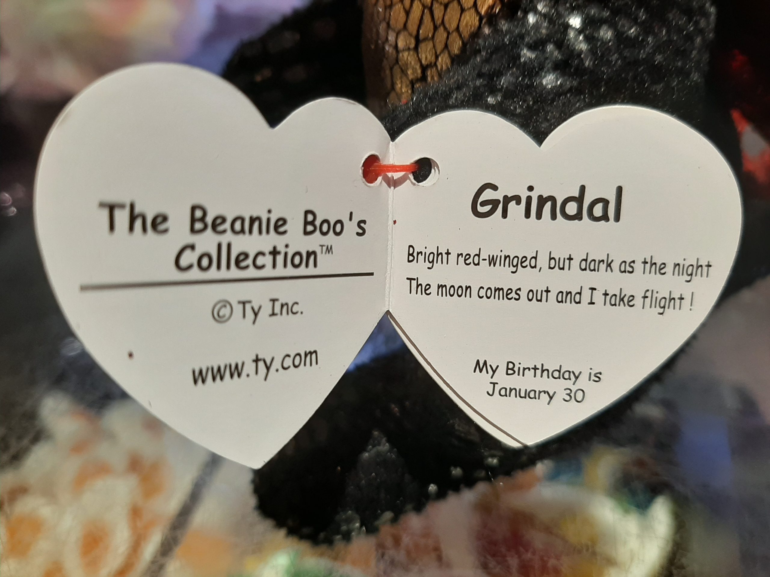 Grindal shop beanie boo