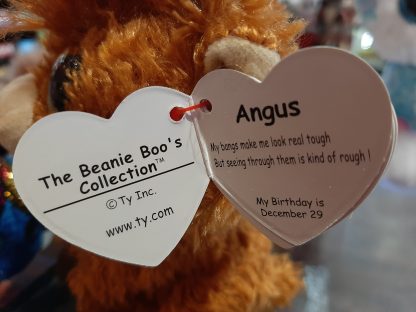 Angus beanie boo Large - Image 2