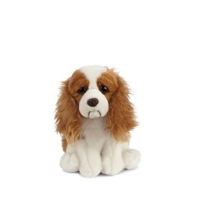 Living Nature King Charles Cavalier AN451