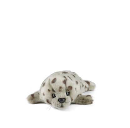 Living Nature Common Seal Pup AN357
