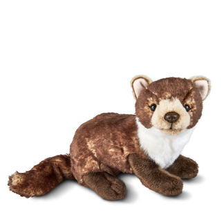 Living nature Pine Marten AN407