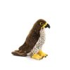 Living Nature Peregrine Falcon AN559