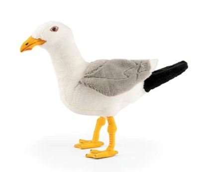 Living nature Herring gull AN668