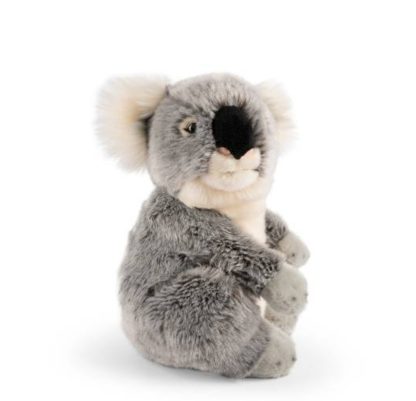 Living nature Koala AN684