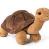 Living Nature Tortoise AN726 - Image 2