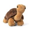 Living Nature Tortoise AN726